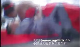 男女视频,男女视频内容解析